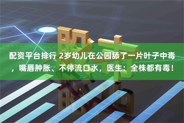 配资平台排行 2岁幼儿在公园舔了一片叶子中毒，嘴唇肿胀、不停流口水，医生：全株都有毒！